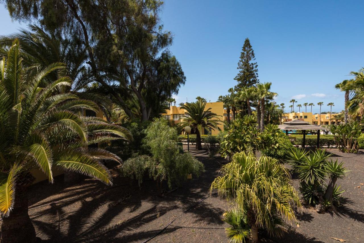 Apartamento Blue Pearl Corralejo Exterior foto